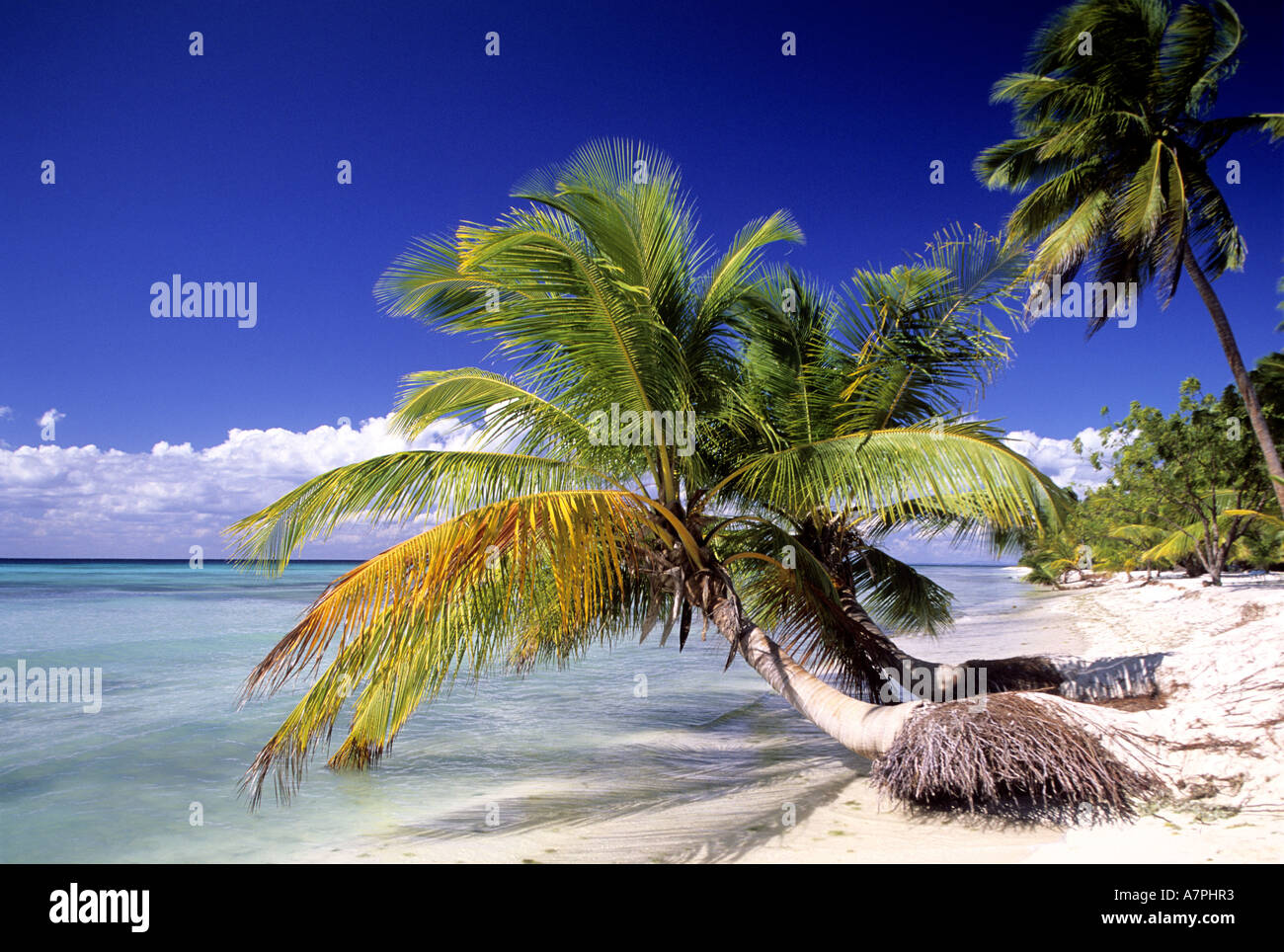 Repubblica Dominicana, Saona Island nel sud del paese Foto Stock