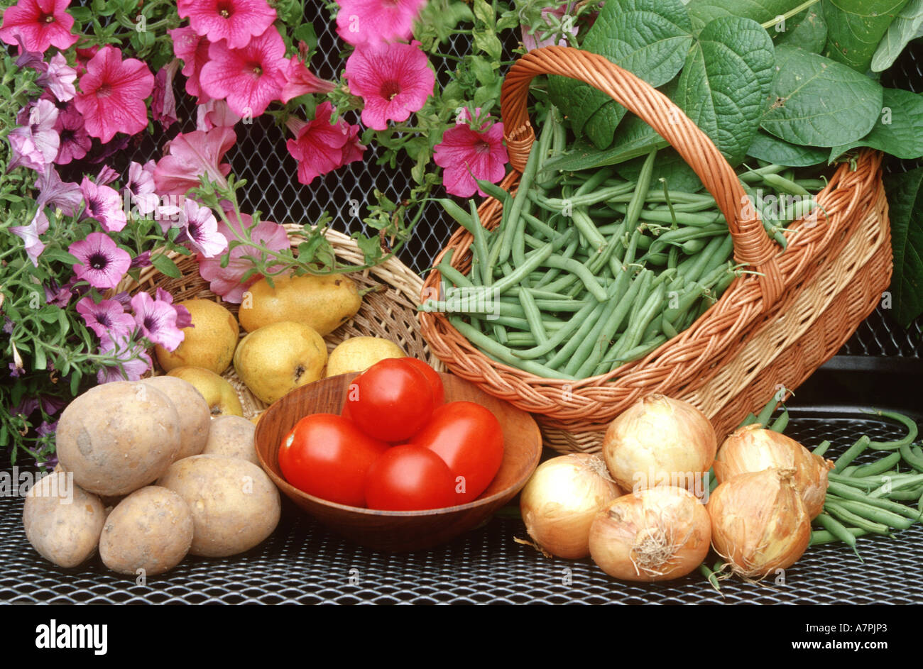 Diversi tipi di giardino frutta e verdure Foto Stock