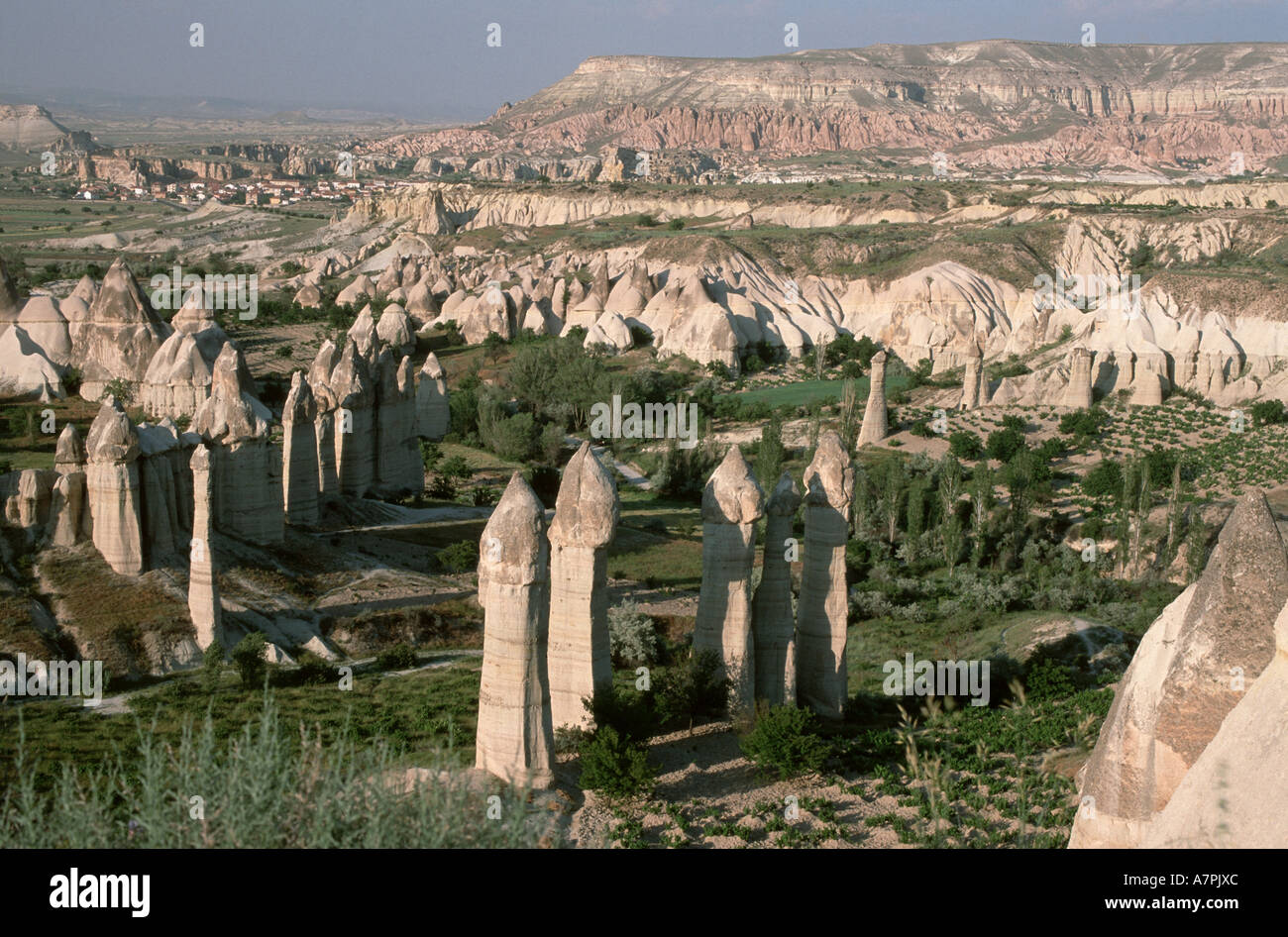 Pilastri di tufo in Cappadocia Foto Stock
