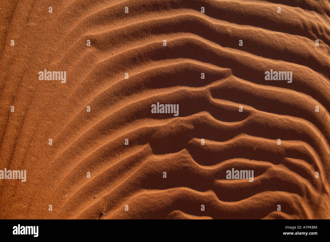 Vento formate ondulazioni di sabbia in una duna di sabbia Namibrand Riserva Naturale della Namibia Foto Stock