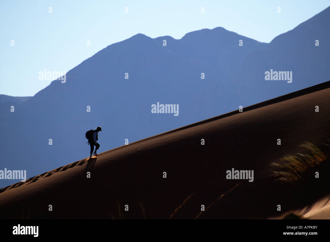 Un escursionista si arrampica sulla cresta di una duna di sabbia nel deserto del Namib Namibrand Riserva Naturale della Namibia Foto Stock