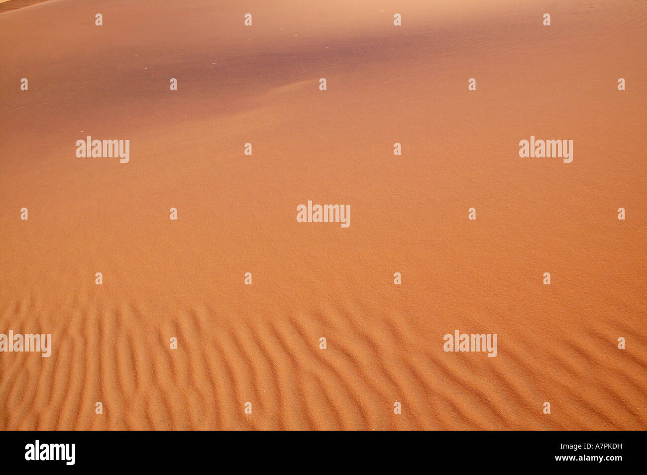 Ripples in una duna di sabbia Namibrand Riserva Naturale della Namibia Foto Stock