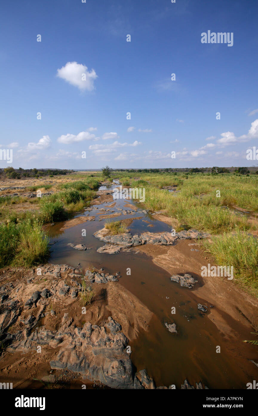 Olifants River durante il flusso basso mostra barene esposti rocce e Phragmites reeds Kruger National Park Foto Stock