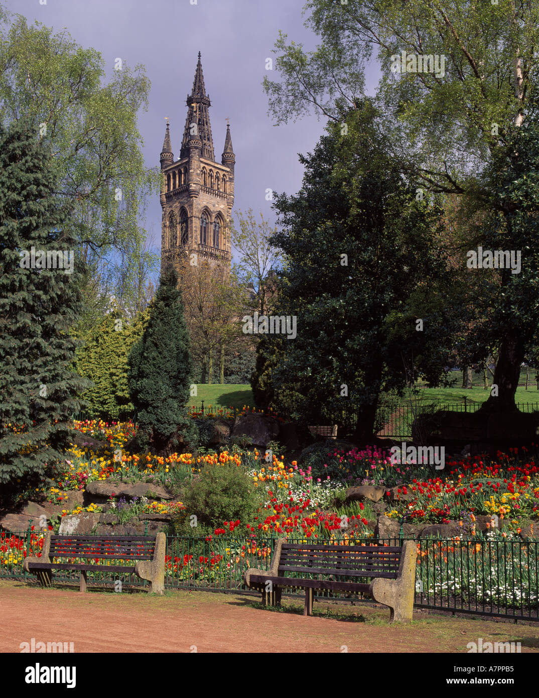 Glasgow University Tower, Glasgow, Scotland, Regno Unito. Da Kelvingrove Park Foto Stock
