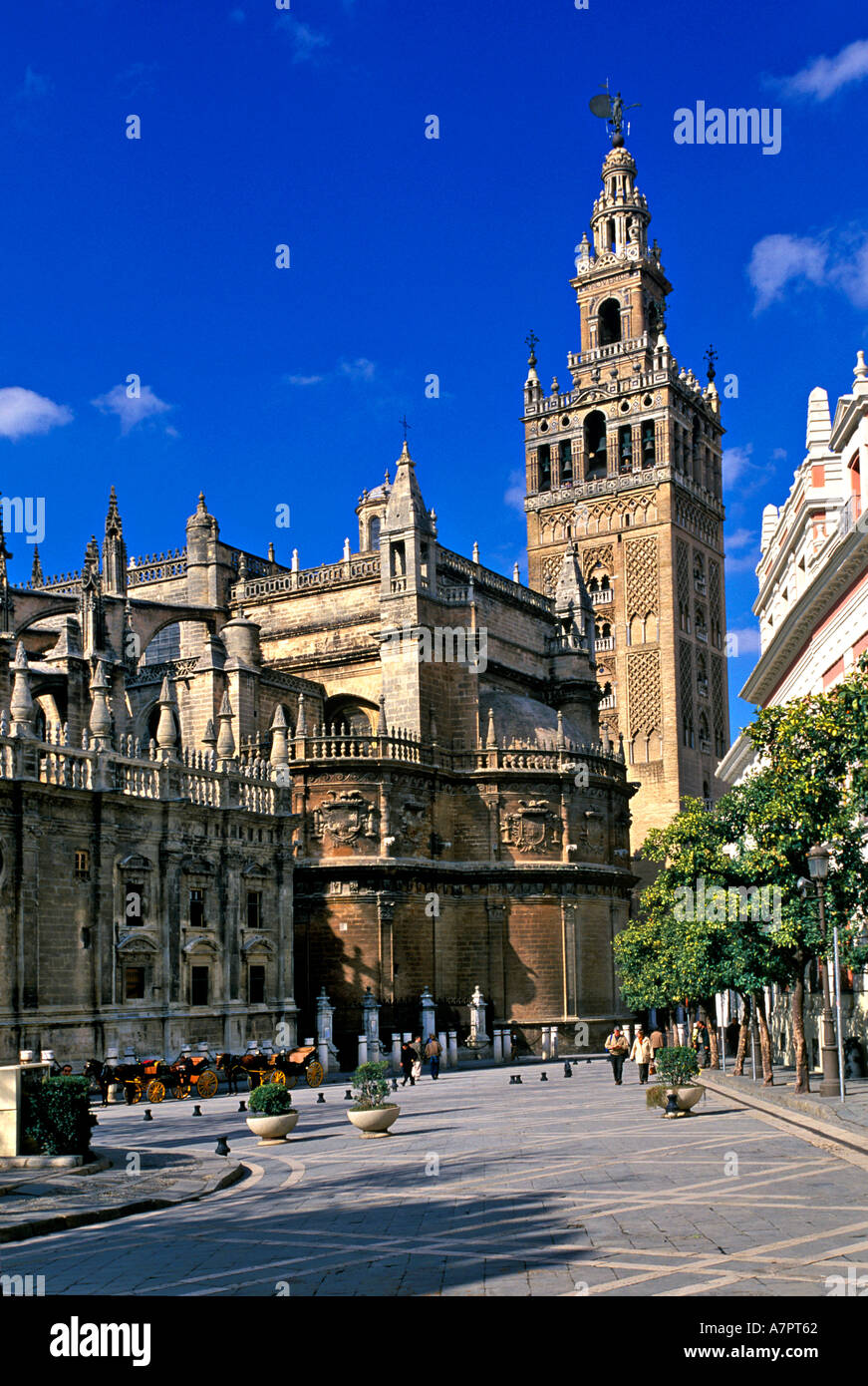 Cattedrale Giralda di Siviglia Spagna Foto Stock