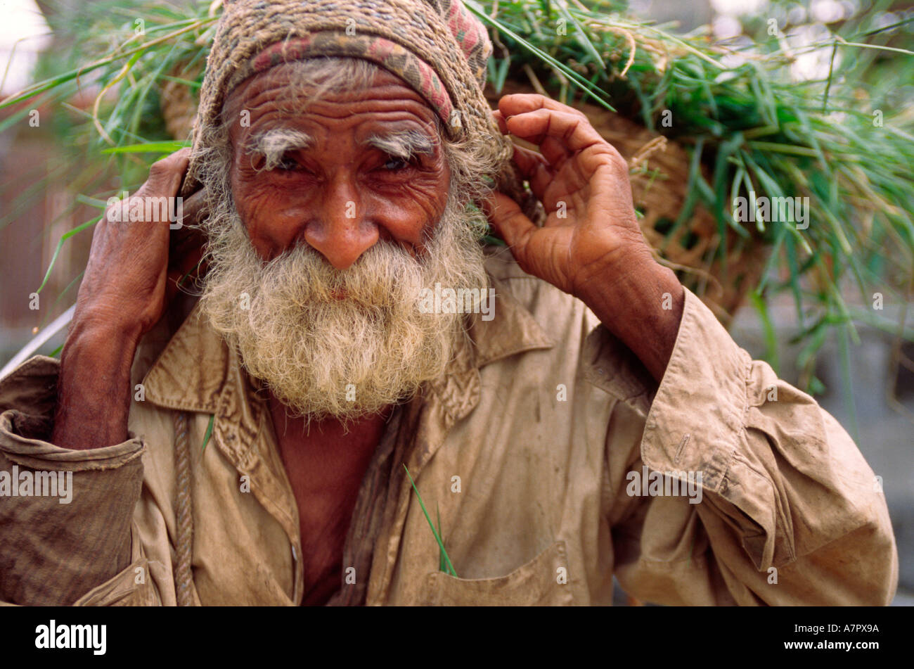 Operaio in Pokhara Nepal Foto Stock