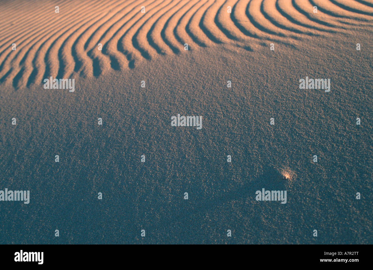 Close up delle texture e modelli nella sabbia del deserto del Namib deserto del Namib Sossusvlei Namibia Foto Stock