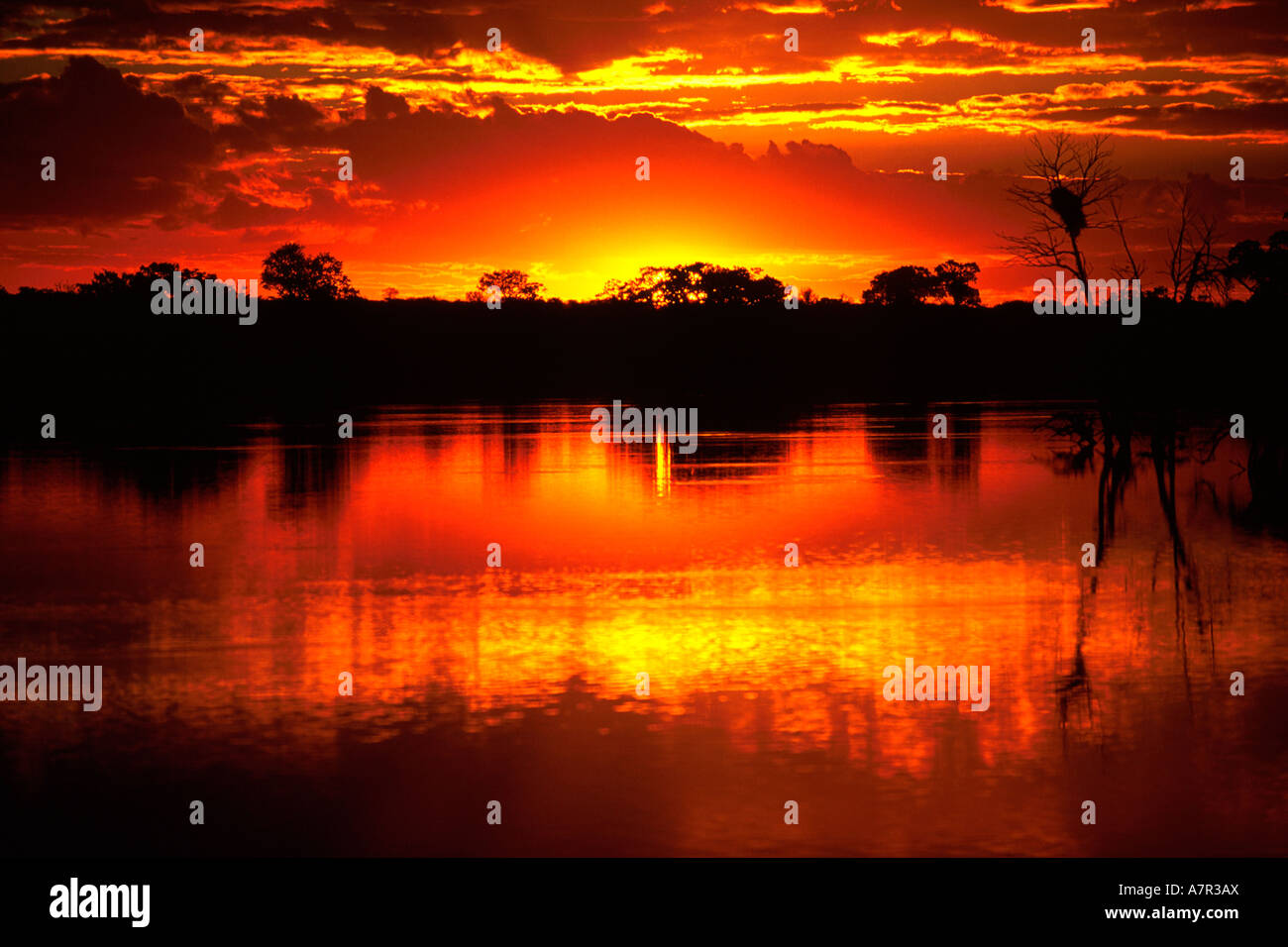 Tramonto sulla diga nei pressi di abbassare Sabie camp nel Parco Nazionale di Kruger Mpumalanga in Sudafrica Foto Stock