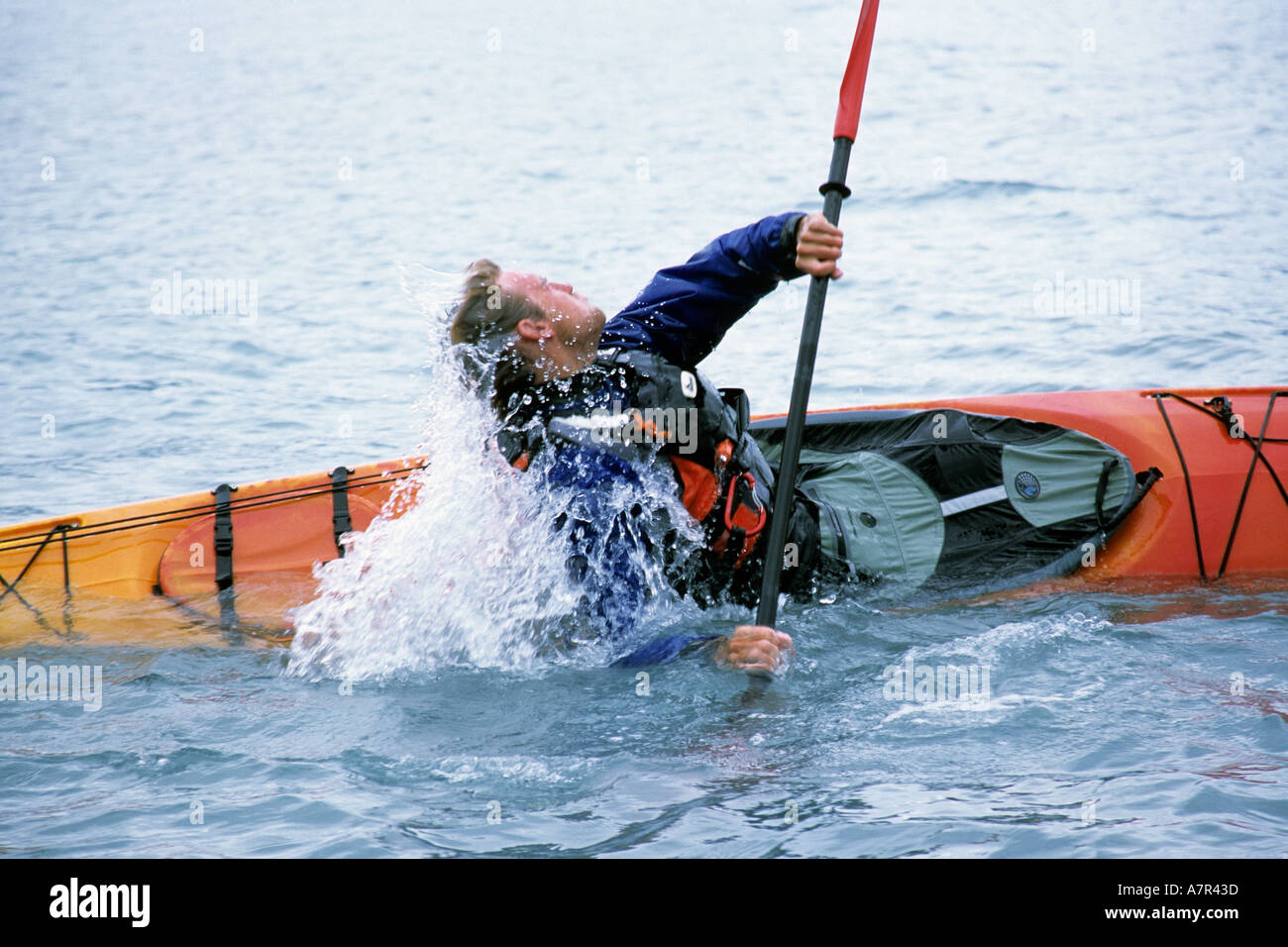 Alaska, fiordi kenai national park, paddler esegue eschimese rotolo un kayak  di mare Foto stock - Alamy