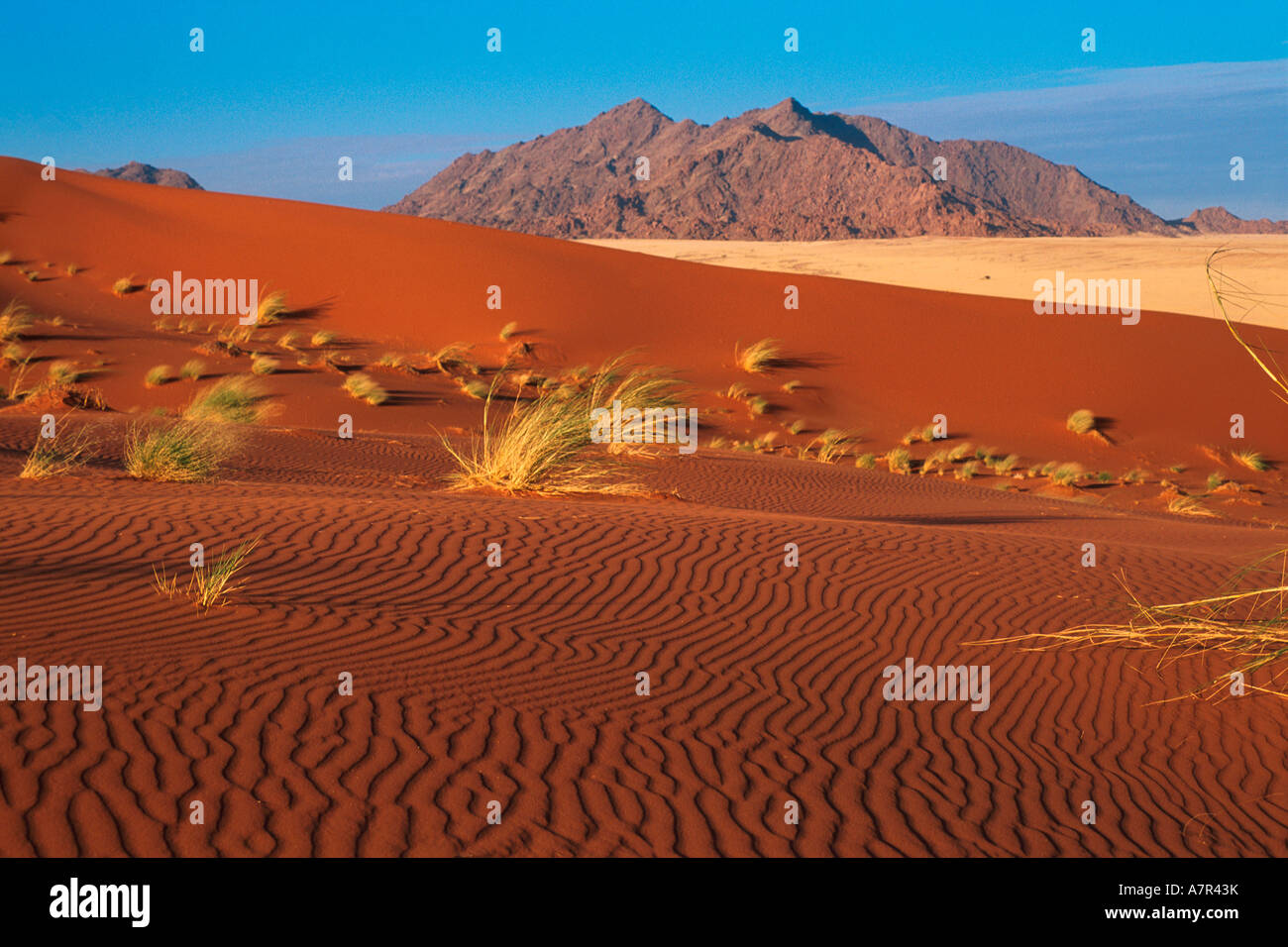 Ripples in un rosso duna di sabbia contro lo sfondo delle montagne Naukluft Sossusvlei Namib Desert Namibia Foto Stock