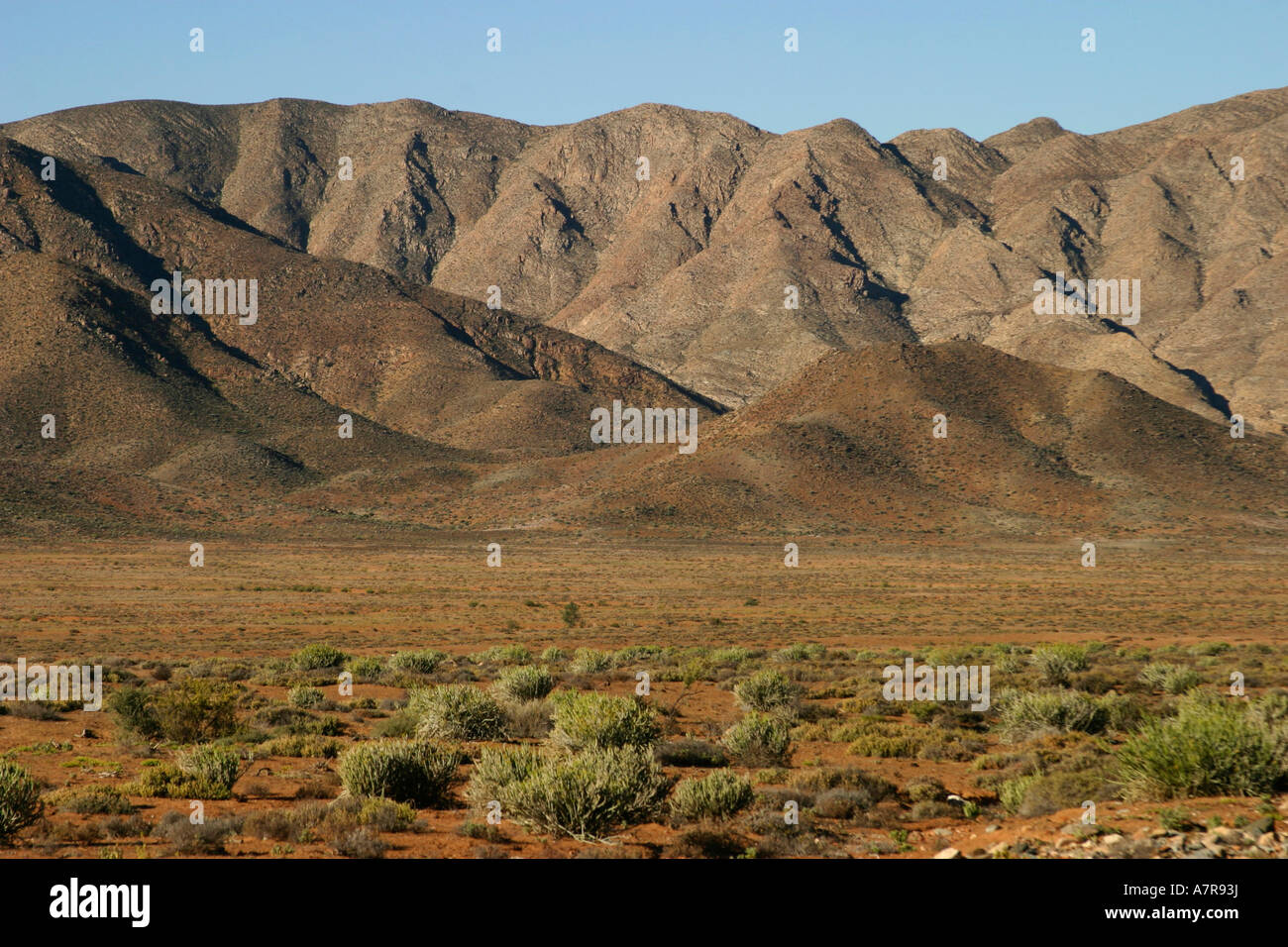 Il paesaggio del deserto nella zona di Richtersveld Richtersveld Northern Cape Sud Africa Foto Stock