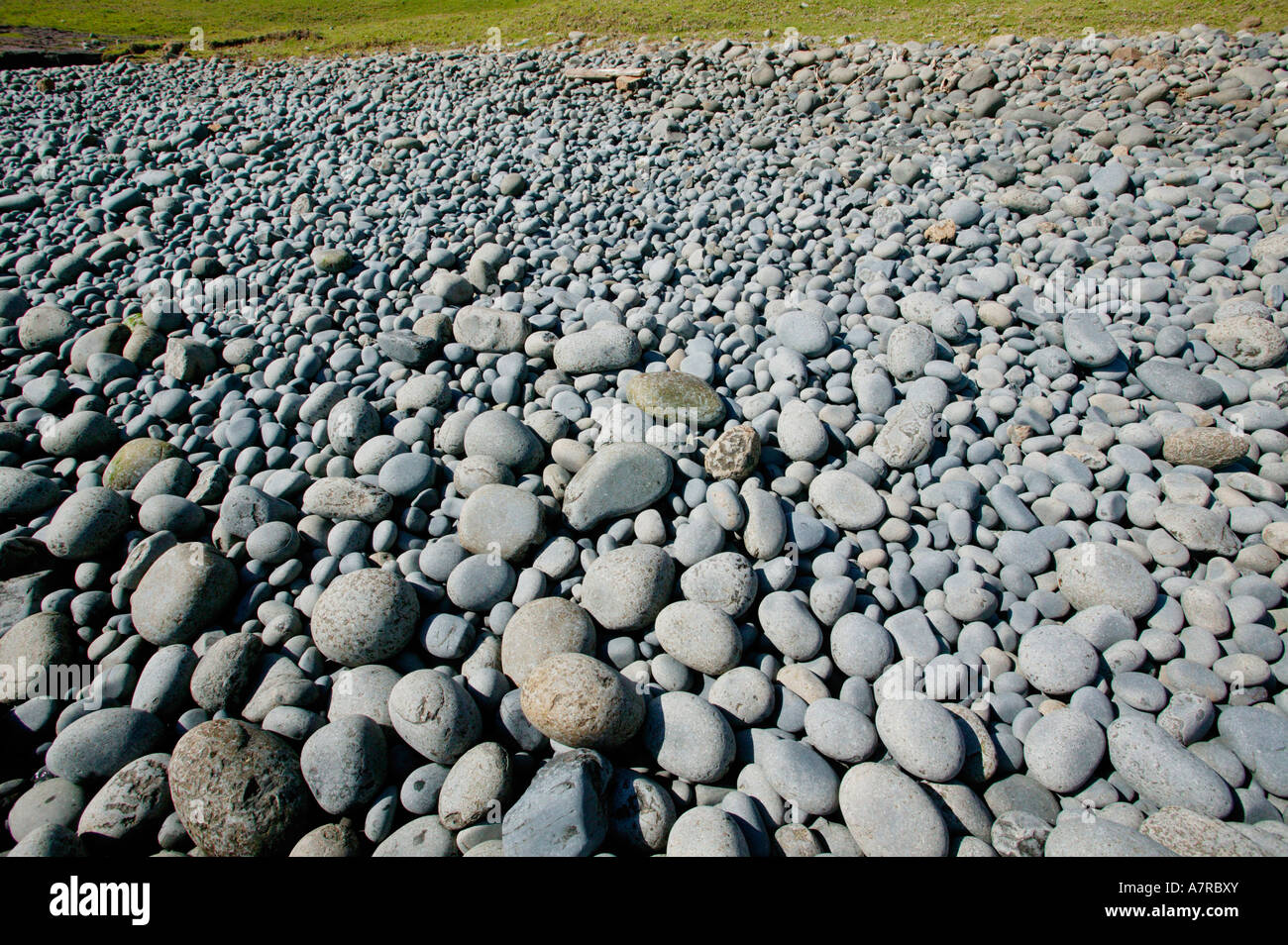 Un masso disseminata spiaggia sulla costa Transkei in corrispondenza del foro nella parete Transkei capo orientale del Sud Africa Foto Stock