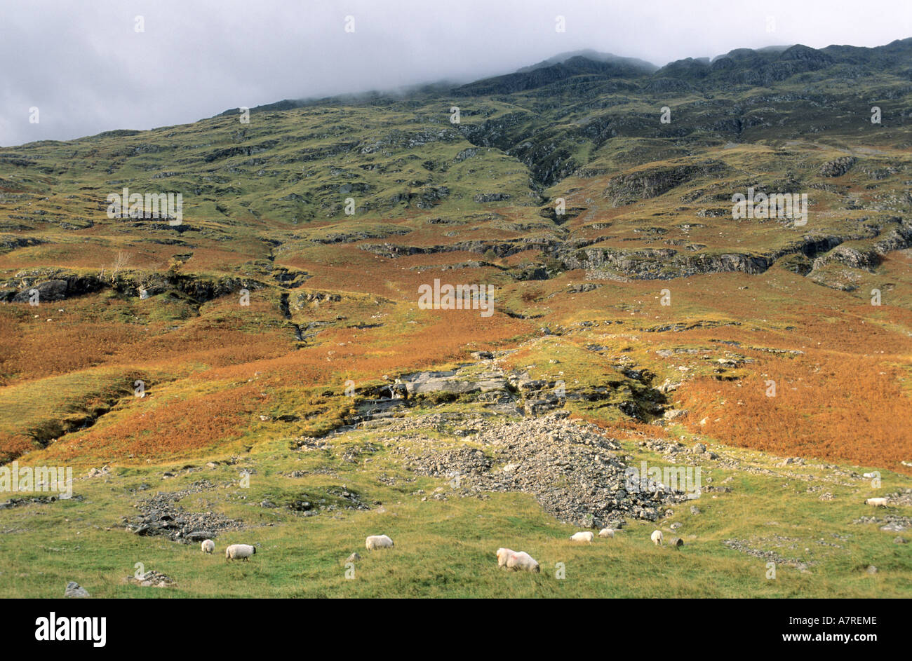 Regno Unito, Scozia, le Highlands, Glencoe valley (massacro di Mac Donald clan dal clan Campbell) Foto Stock