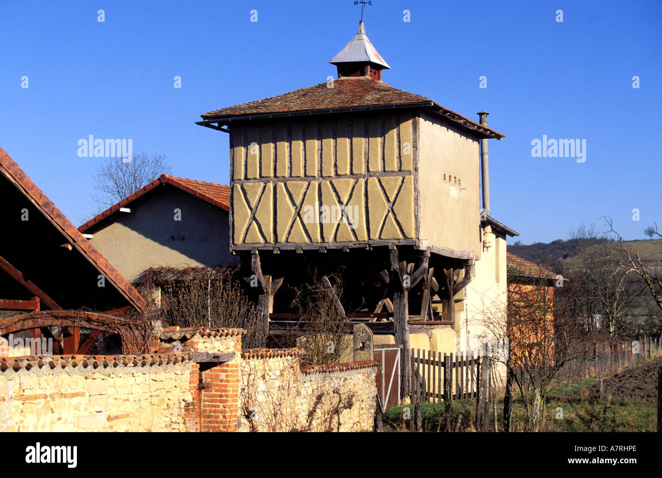 Francia, Puy de Dome, Villeneuve les Cerfs, tradizionale piccionaia