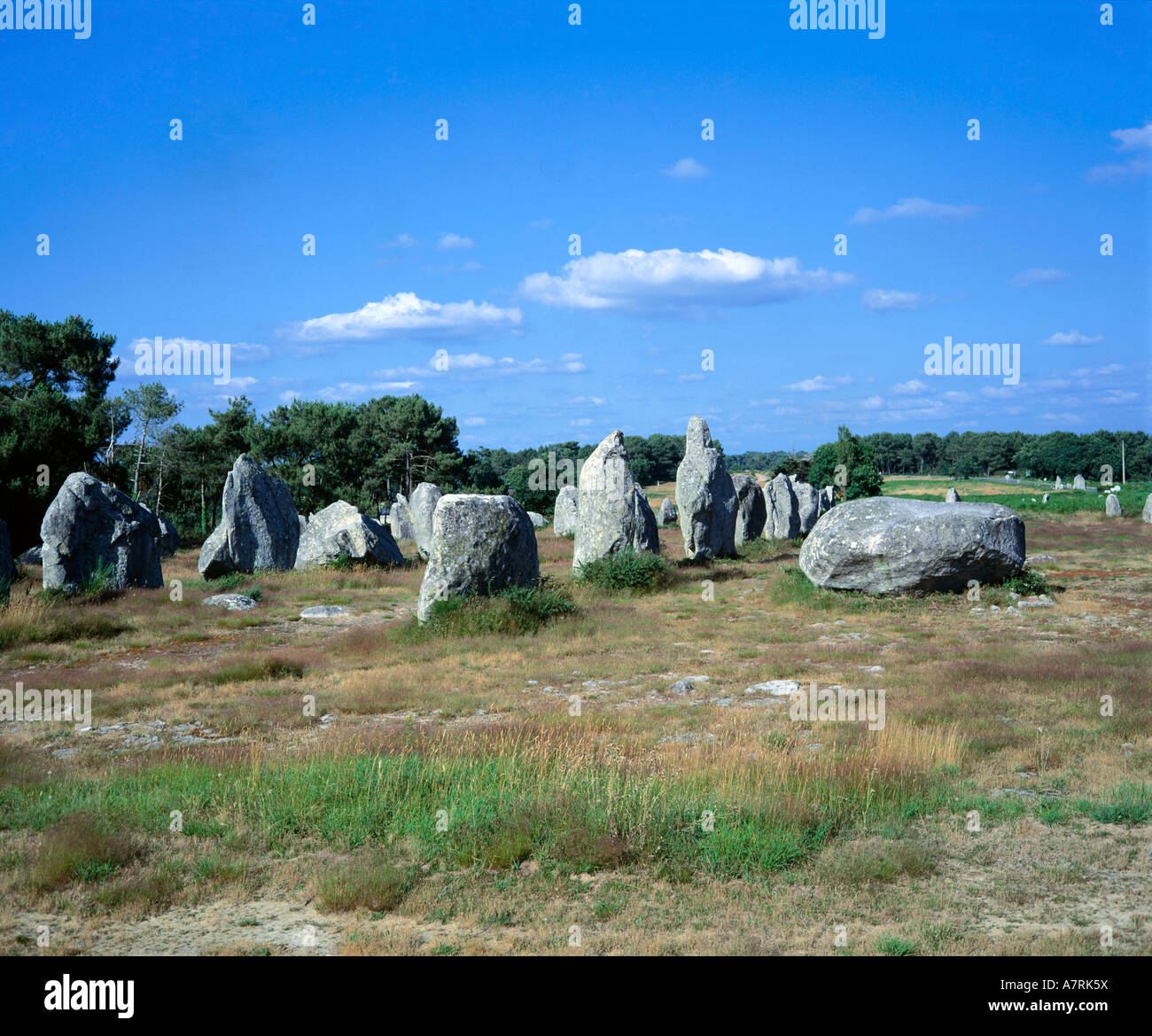 Rocce megalitiche sul paesaggio, Carnac, Brittany, Francia Foto Stock