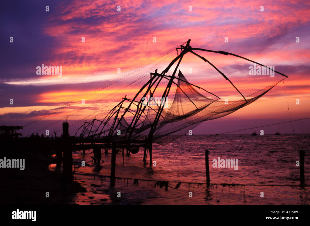 India Kerala State, Kochi (Cochin), Fort Kochi, Cinese reti da pesca al tramonto Foto Stock