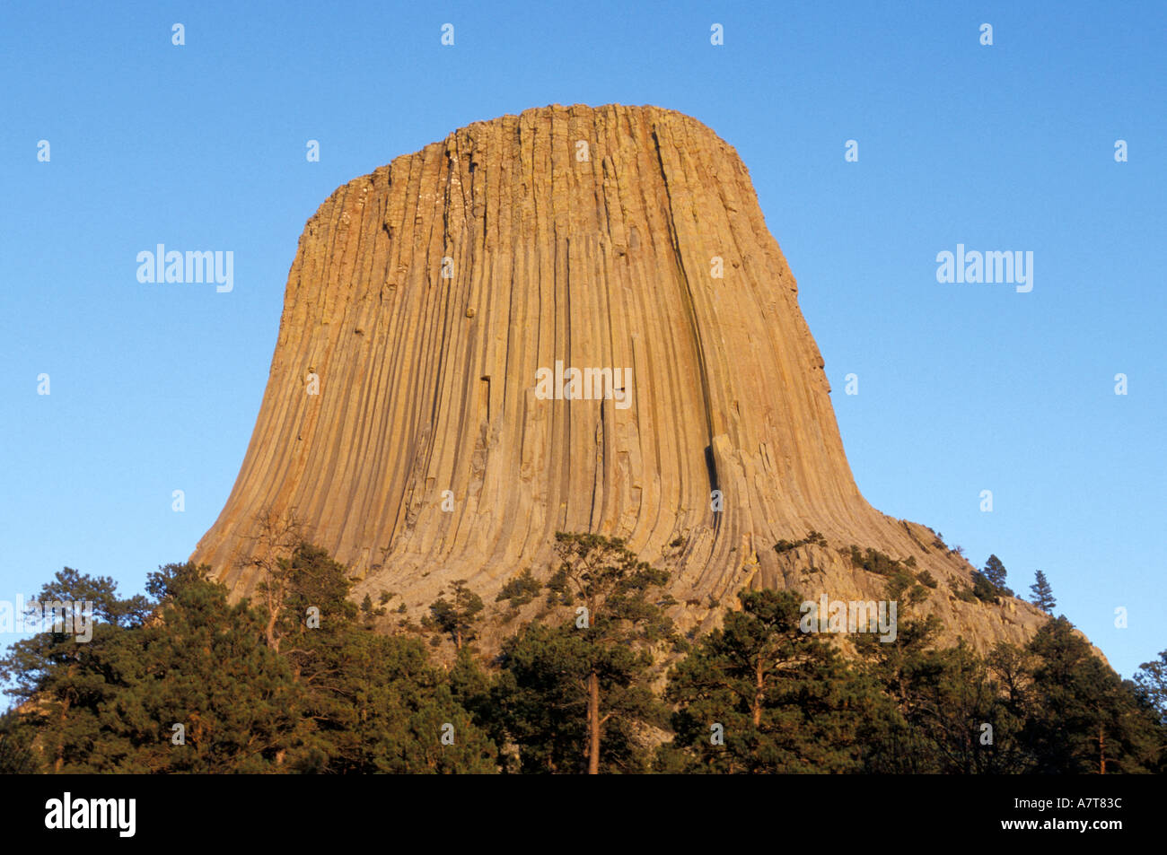Devils Tower monumento nazionale Foto Stock