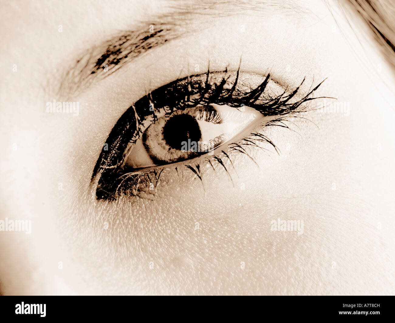 Close-up di donna di occhio Foto Stock