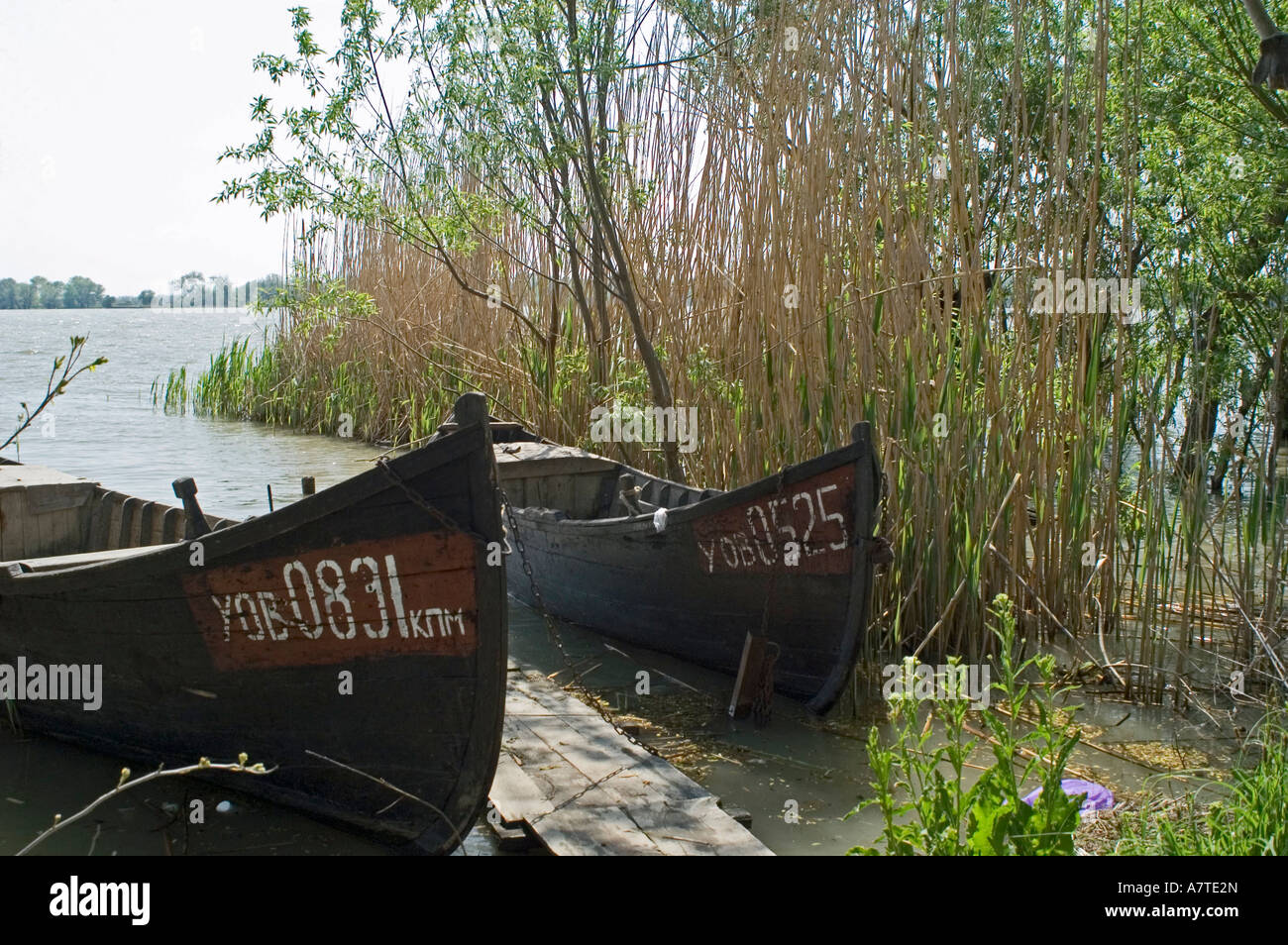 Barche ormeggiate nel fiume, Vylkove Kiliyskyi, raion, Oblast di Odessa, Ucraina Foto Stock