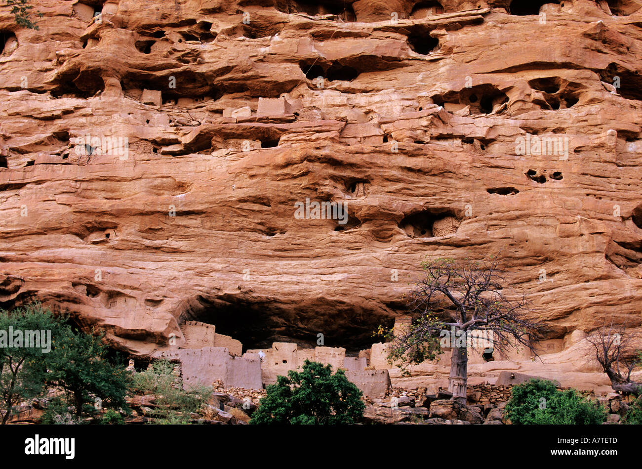 Mali, Paese Dogon, Ireli village, fondo di Bandiagara cliff, cavernicoli del Tellems Foto Stock