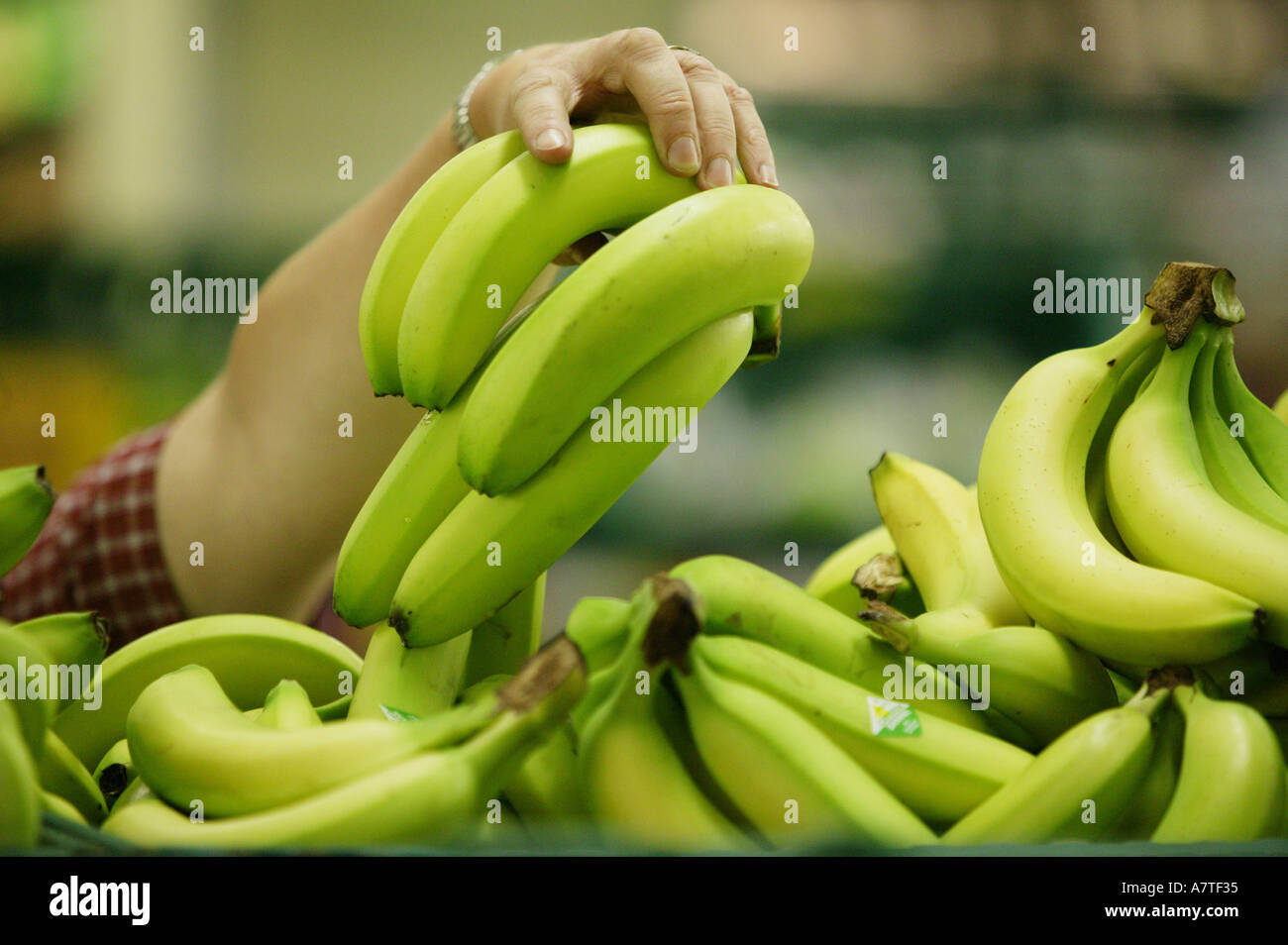 Le banane in vendita in un supermercato nel Regno Unito Foto Stock