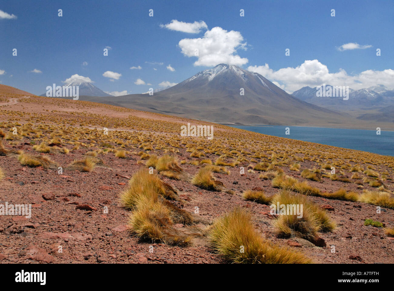 Lagunas Miscanti Miniques Reserva Nacional los Flamencos deserto di Atacama Norte Grande del Cile Foto Stock