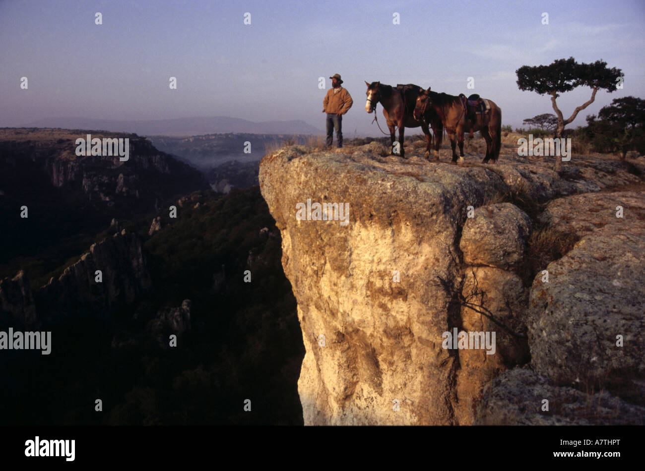 Cowboy Standing con i cavalli sulla scogliera, Messico Foto Stock