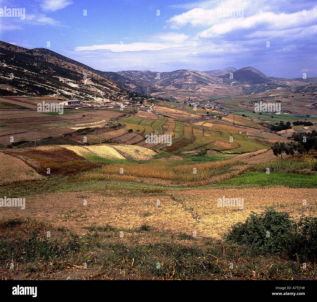 Angolo di alta vista di campi terrazzati, Mallakaster, Tirana, Albania Foto Stock