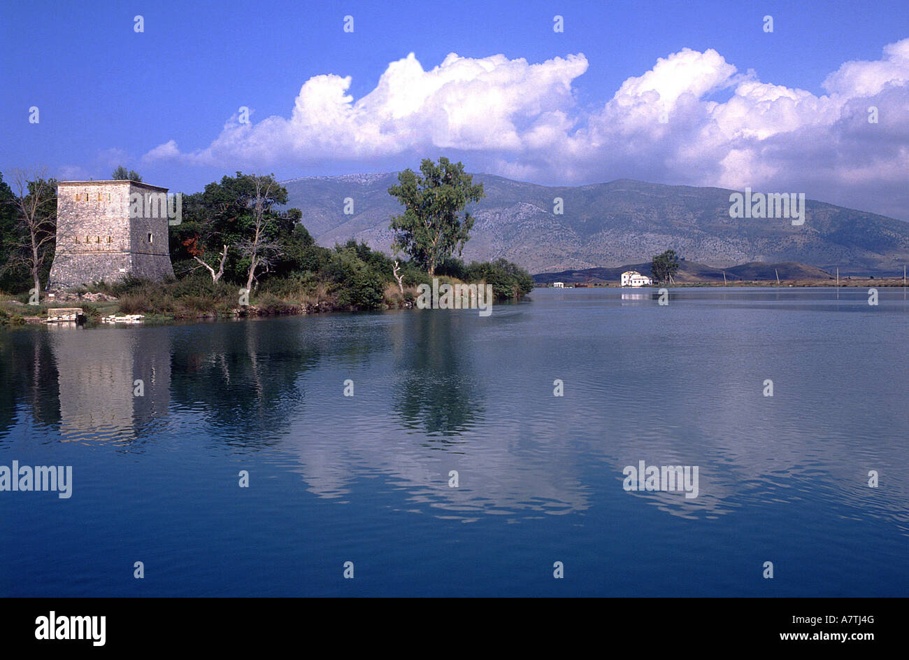 La riflessione di alberi in acqua, Lago Butrinti, Sarande, Contea di Valona, Albania Foto Stock