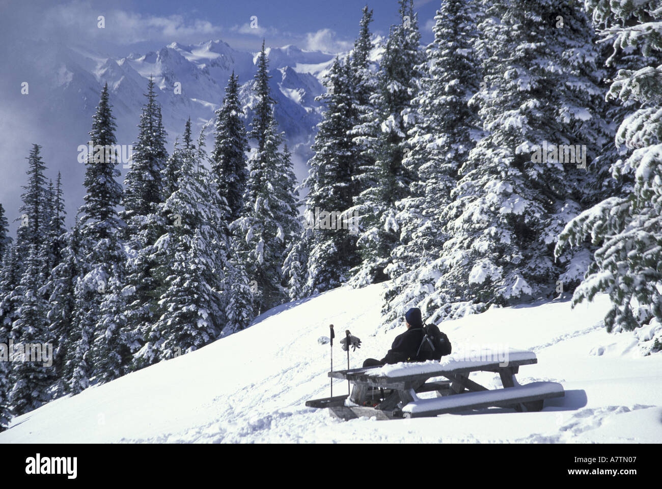 NA, STATI UNITI D'AMERICA, Washington, Olympic NP. Cross-country sciatore all'Hurricane Ridge Foto Stock
