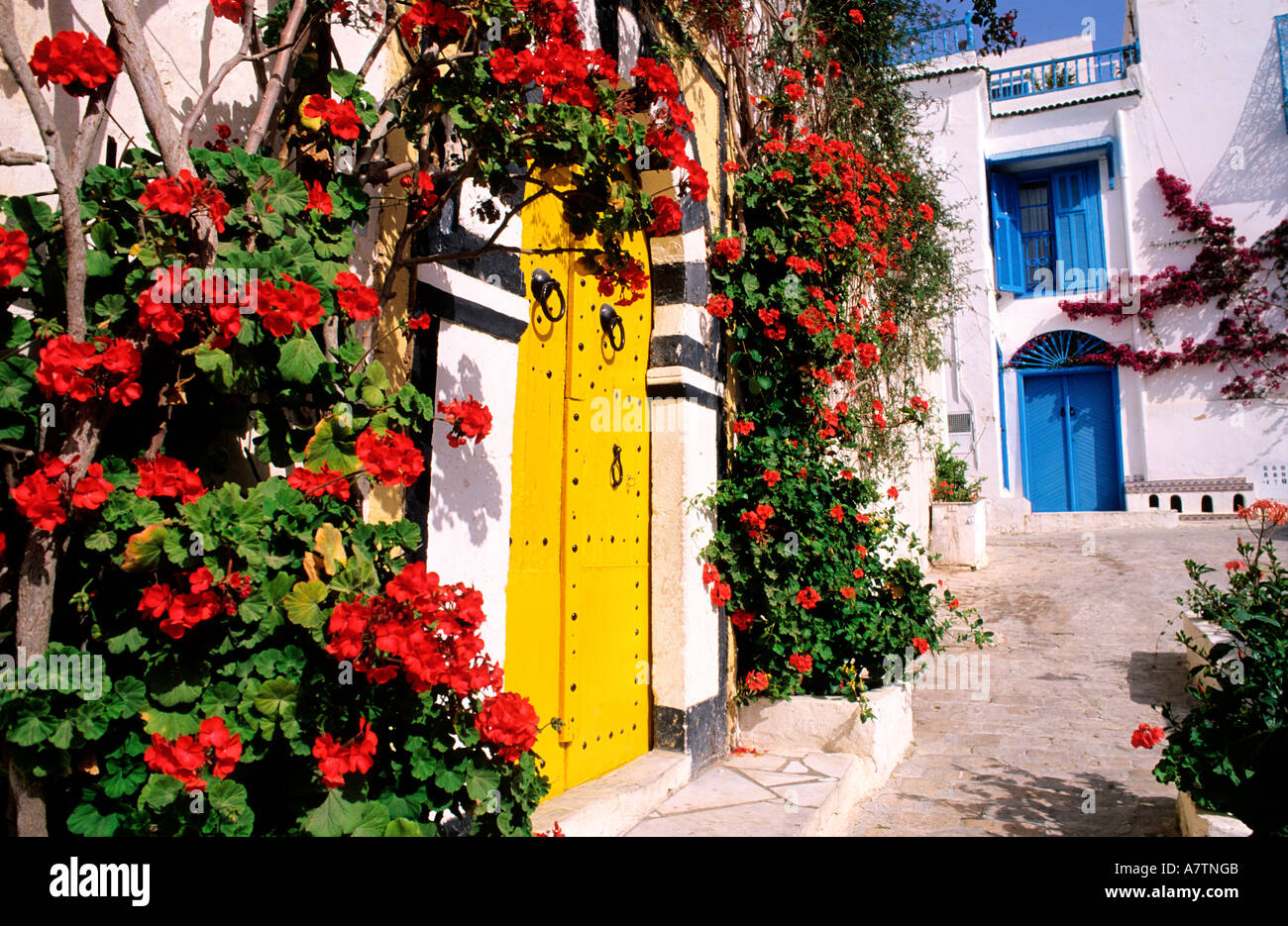 La Tunisia, una porta a Sidi Bou Said (frazioni di Tunisi) Foto Stock