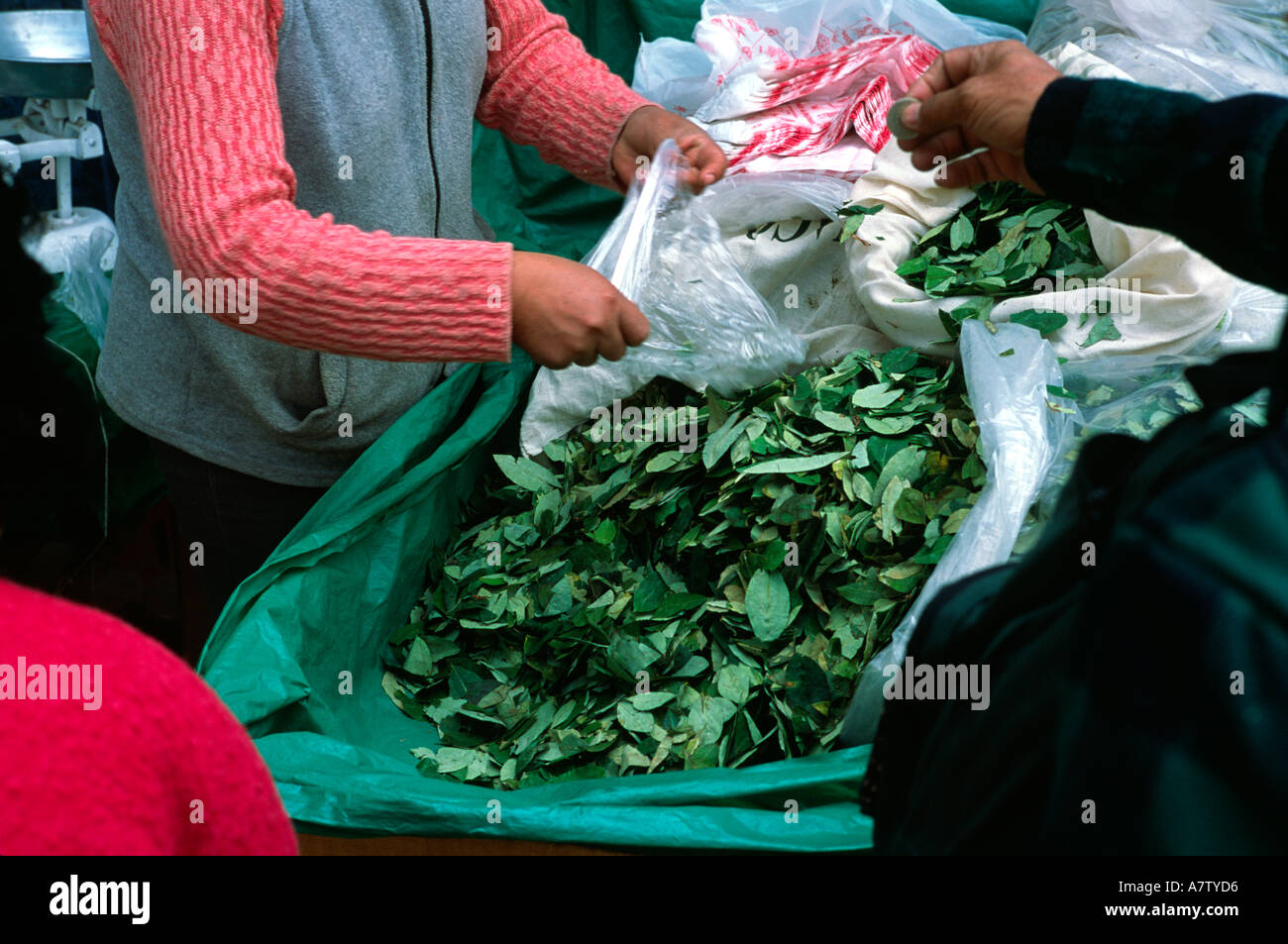 Uomo locale acquisto di foglie di coca al mercato di Jauja Peru Foto Stock