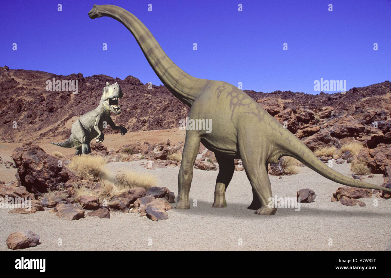 Tirannosauro attaccando Brachiosaurus Foto Stock