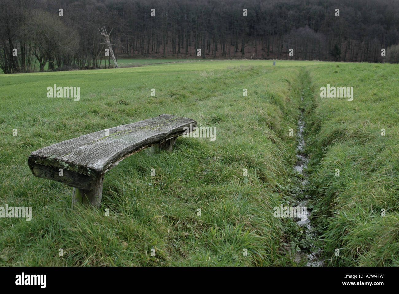 Panca in legno in corrispondenza di un ruscello attraverso un prato, Germania, Hesse, Taunus Foto Stock