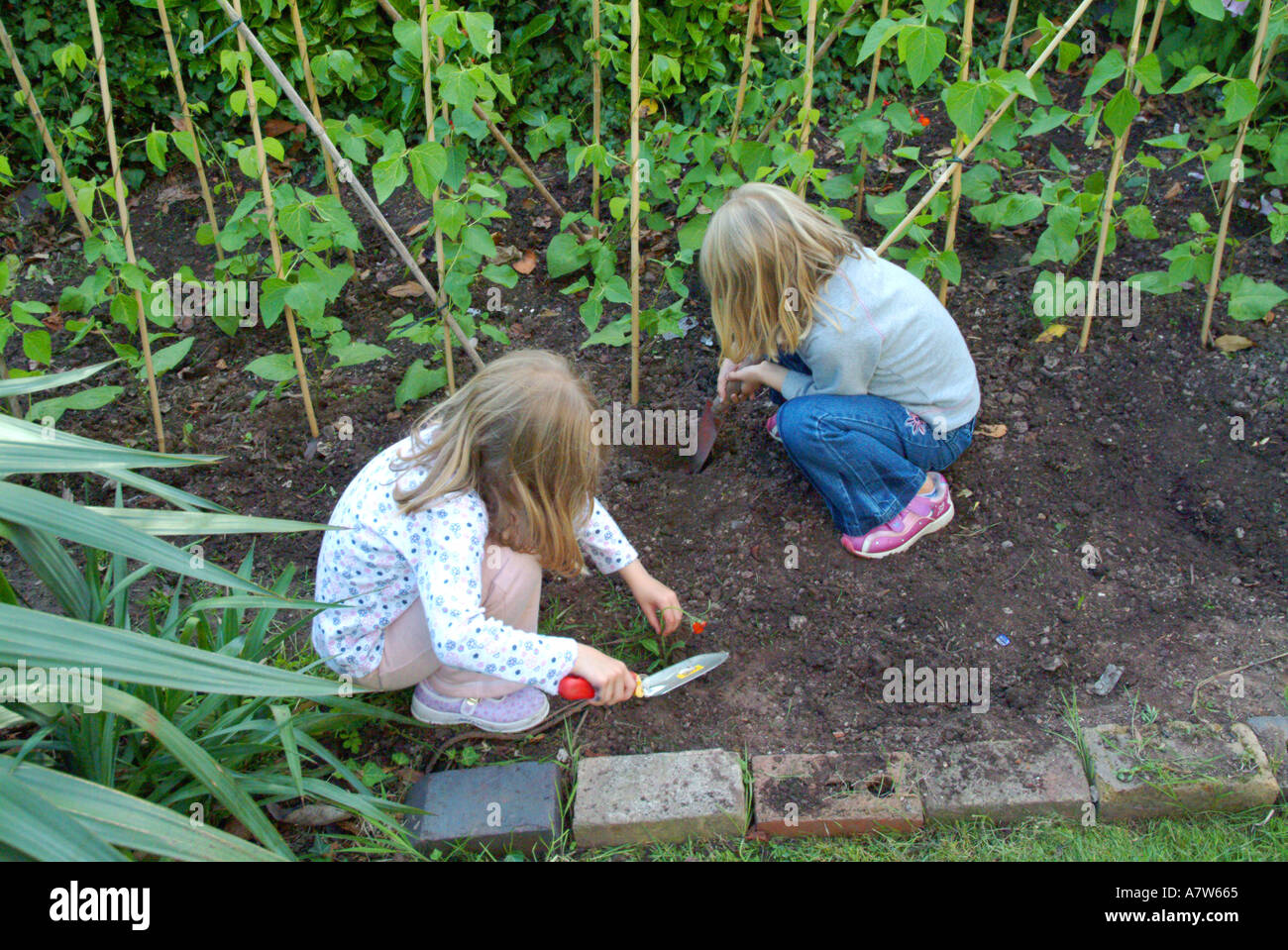 Le giovani ragazze Giardinaggio Foto Stock