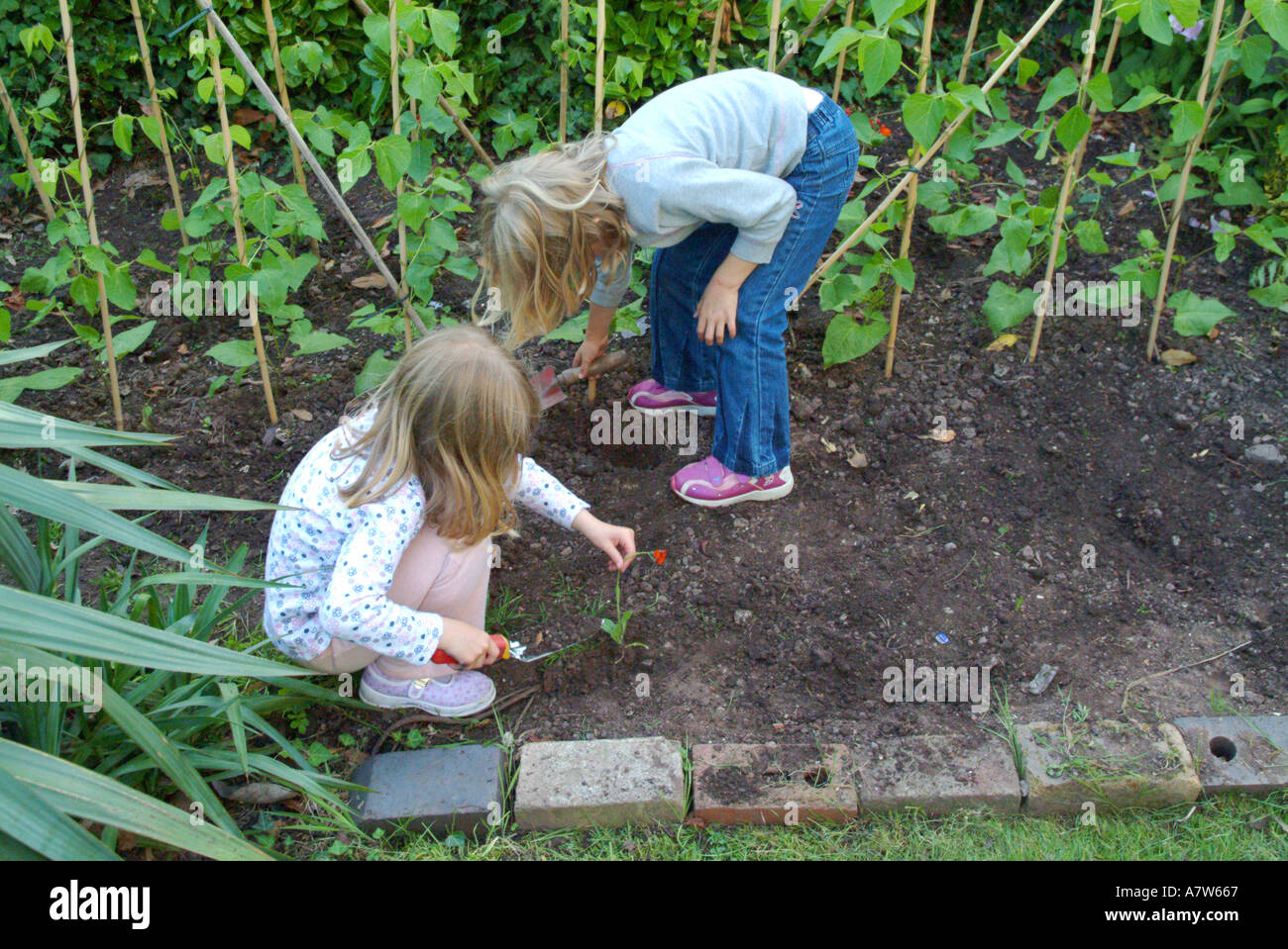 Le giovani ragazze Giardinaggio Foto Stock