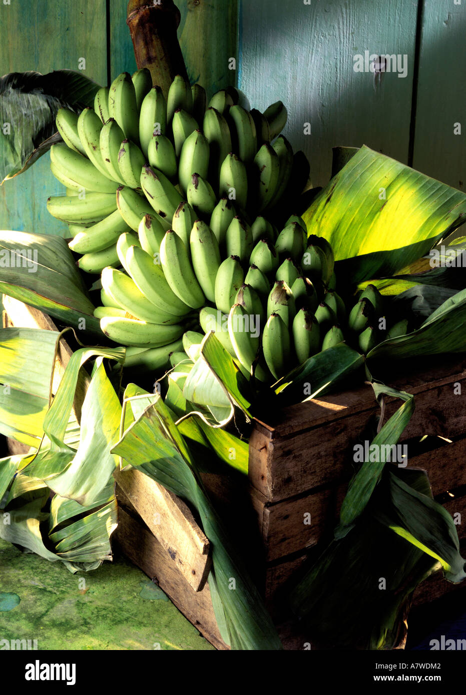 Francia, mazzetto di banane Foto Stock