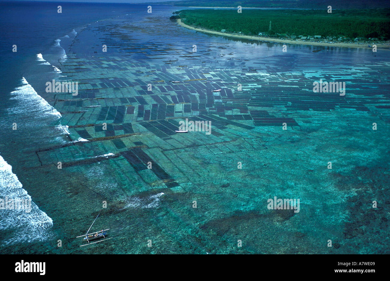 Vista aerea di fattorie di alghe marine in Isola di Lembongan Indonesia Foto Stock