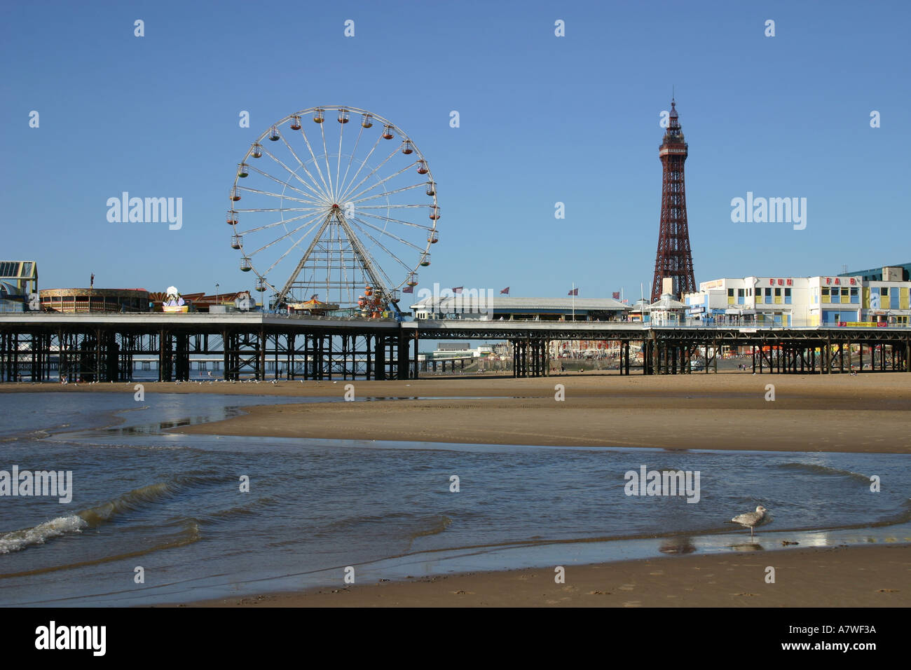La Blackpool Tower e la ruota grande molo centrale Foto Stock