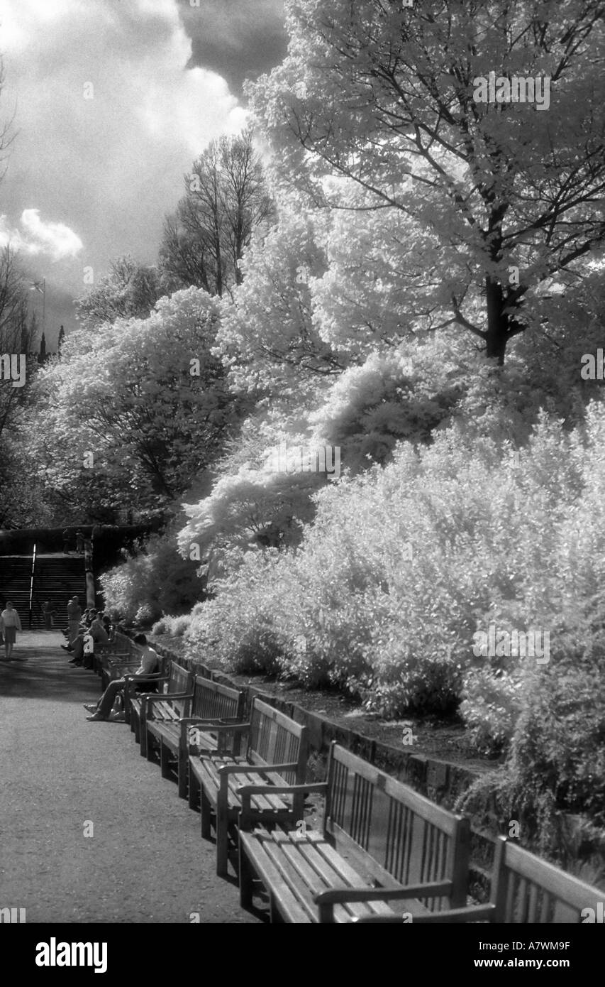Un aspetto granuloso immagine infrarossa di una fila di panchine nei giardini di Princes Street in Edinburgh Foto Stock