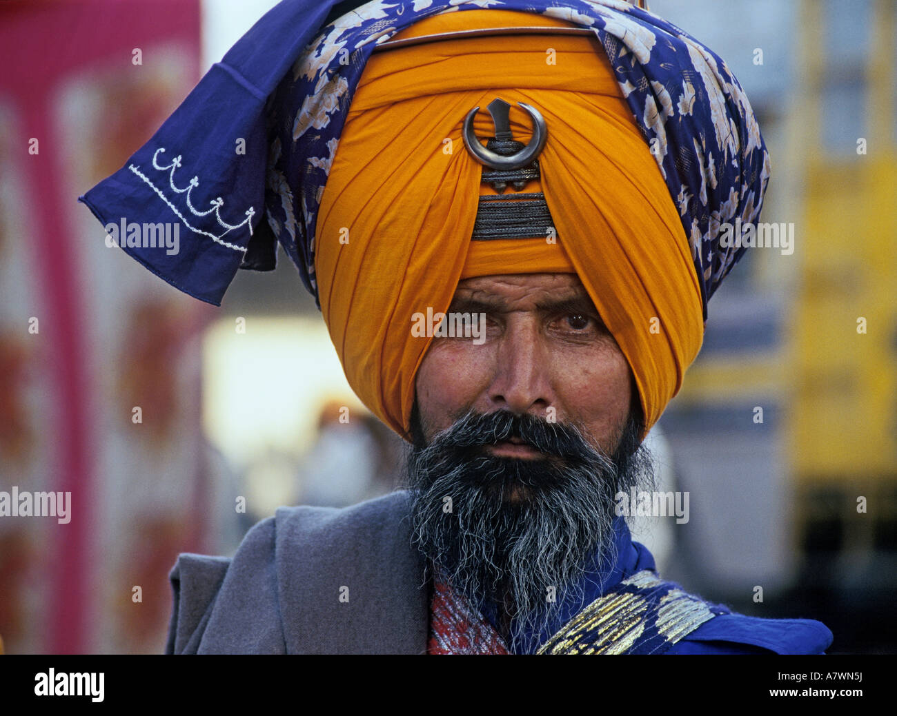 Ritratto di un orgoglioso alcalino Nihang ( guerriero Sikh-sacerdote ), Anandpur Sahib, Punjab, India Foto Stock