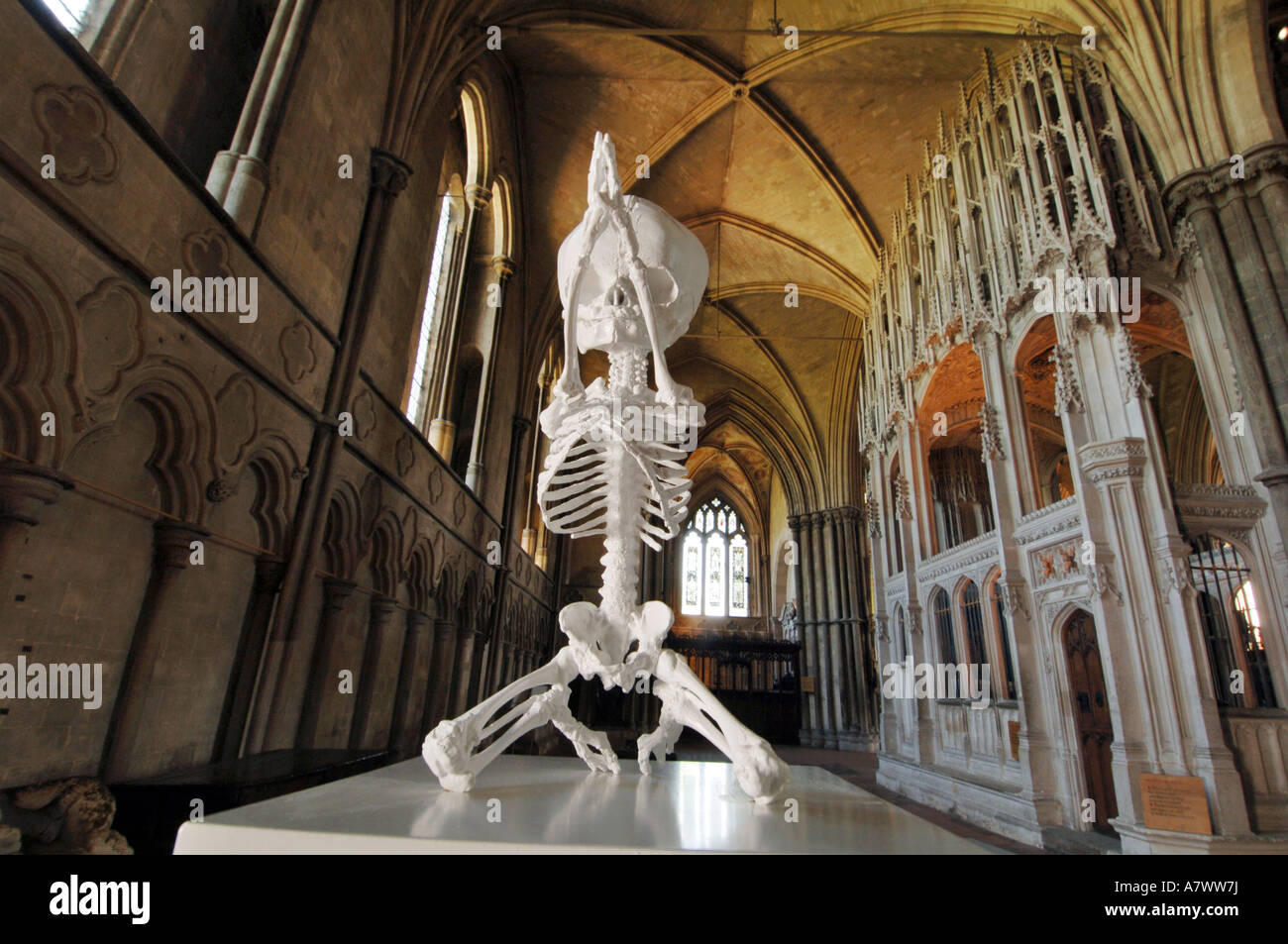 Una scultura di scheletro fetale inginocchiarsi e pregare di Mark Quinn a Winchester Cathedral Foto Stock