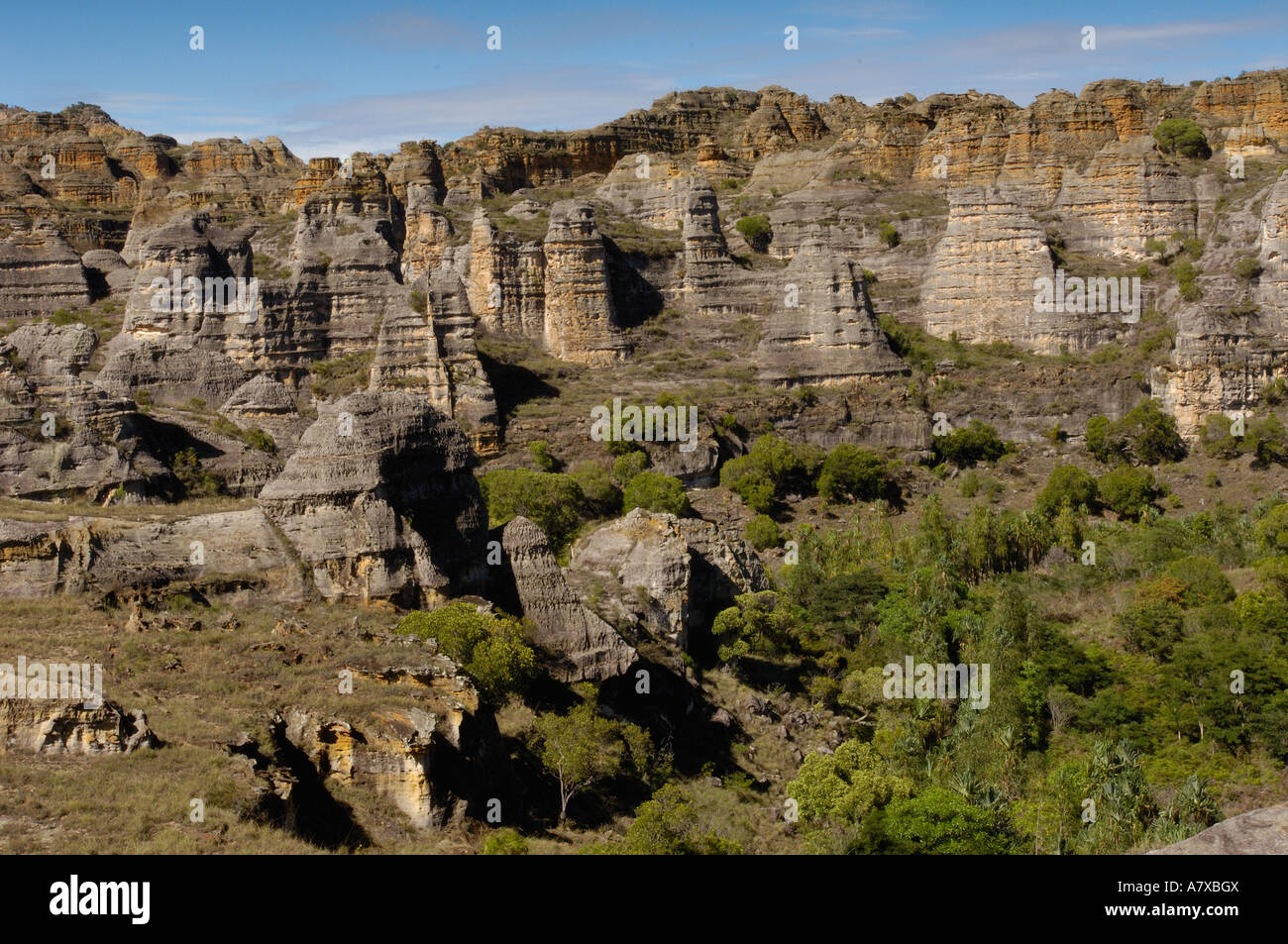 Massiccio di arenaria. Isalo National Park. MADAGASCAR. Isalo è stata dichiarata parco nazionale nel 1962 e copre 81,540ha. Foto Stock