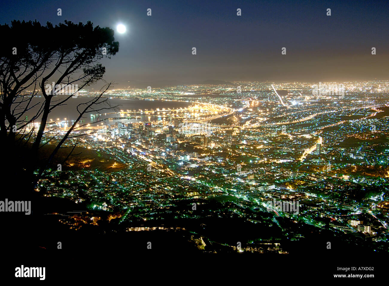 La città di Città del Capo come si vede dalla testa di leone in una notte di luna. Foto Stock