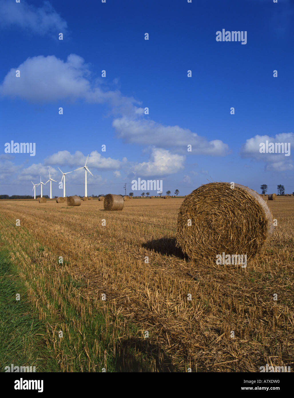 Linea di generatori eolici in campo raccolte con le balle di paglia Somerton Norfolk Ottobre Foto Stock