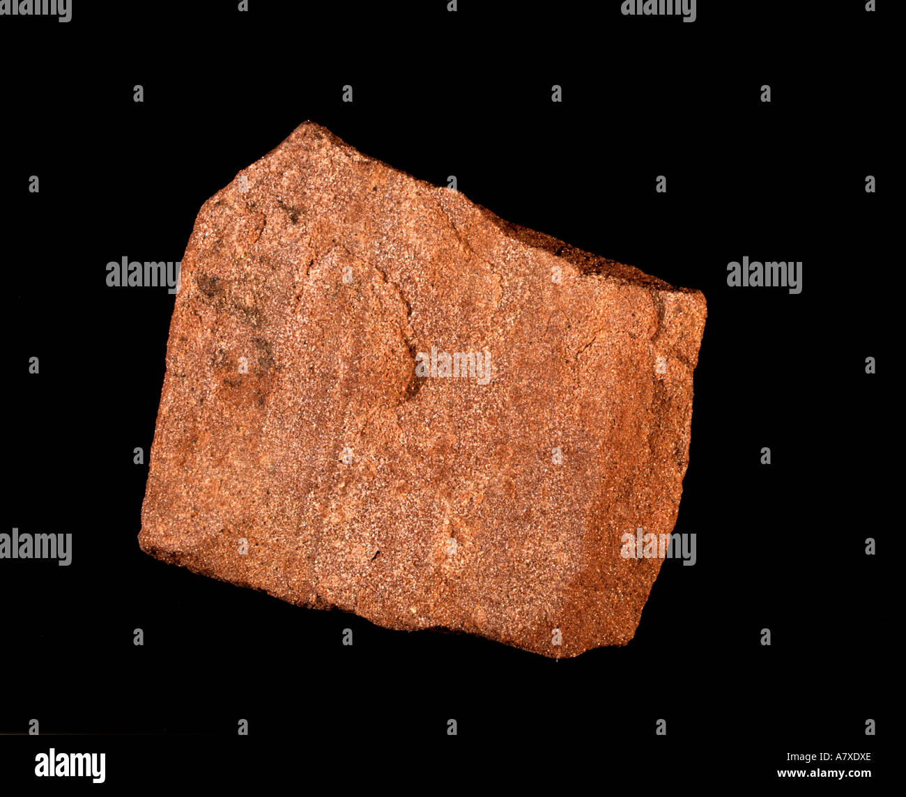 Eolie Laminationin Penrith in arenaria rossa Permiano inferiore Vale of Eden Cumbria Inghilterra 17cm Foto Stock
