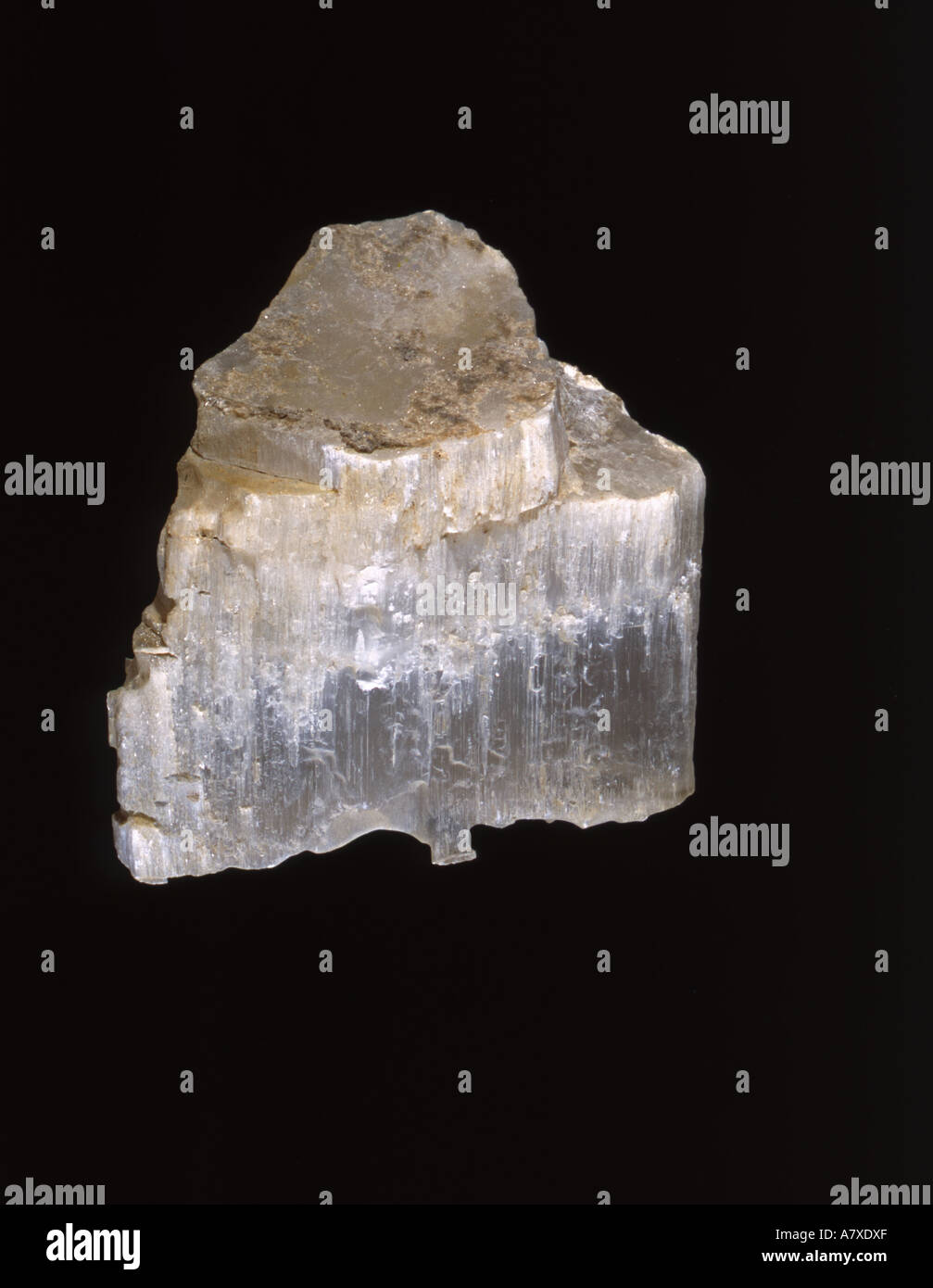 Minerale di roccia Satin Spar gesso fibroso Worbarrow Bay Dorset Foto Stock