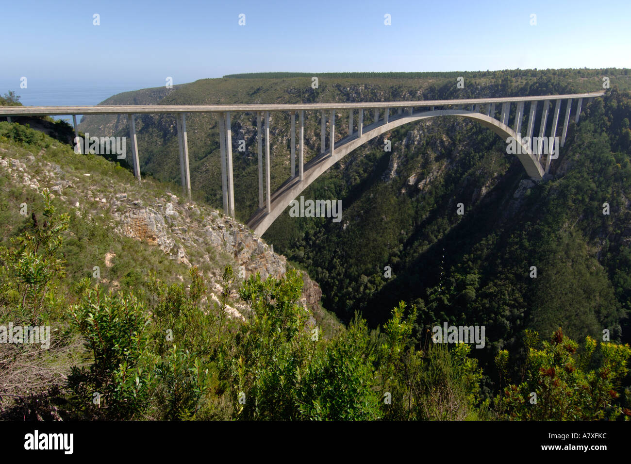 Il Bloukrans River Bridge lungo la Garden Route del Sud Africa. Esso è il più alto commercial bungee jump nel mondo (216m). Foto Stock
