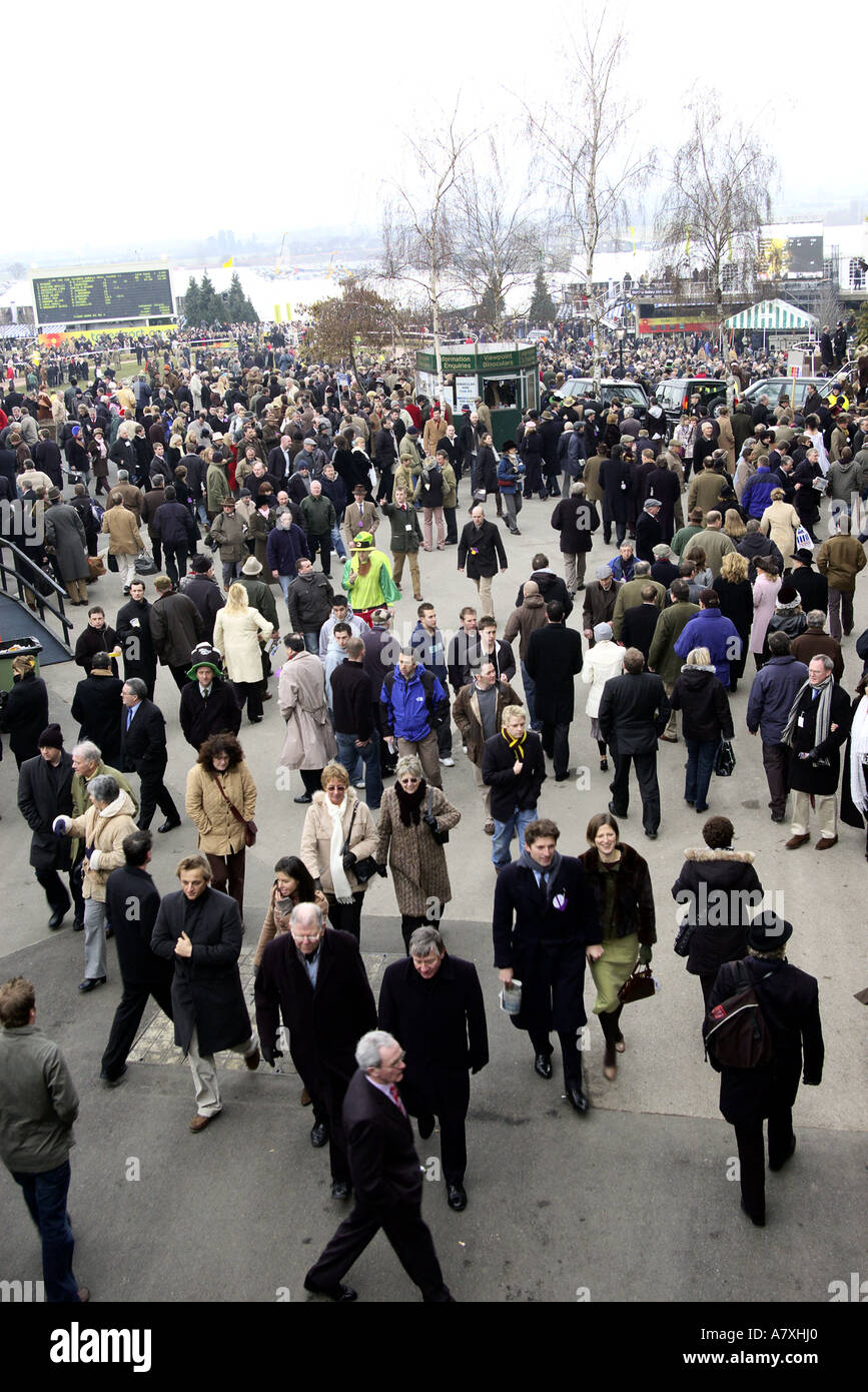 La folla a Cheltenham race course Foto Stock
