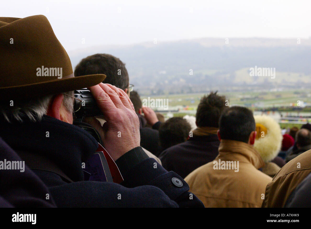Un uomo guarda un horse racing a Cheltenham race course con il binocolo Foto Stock